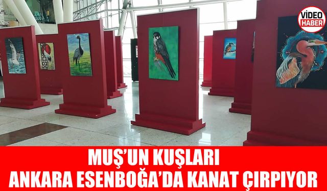 Ankara Esenboğa’da Muş rüzgârı