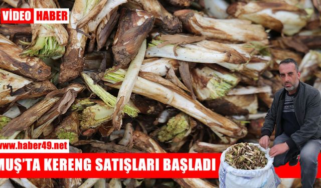 Muş’ta şifalı bitki satışlarına yeni bir lezzet daha katıldı