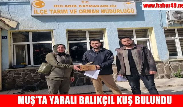 Muş’ta nesli tükenme tehlikesindeki yaralı balıkçıl kuş bulundu