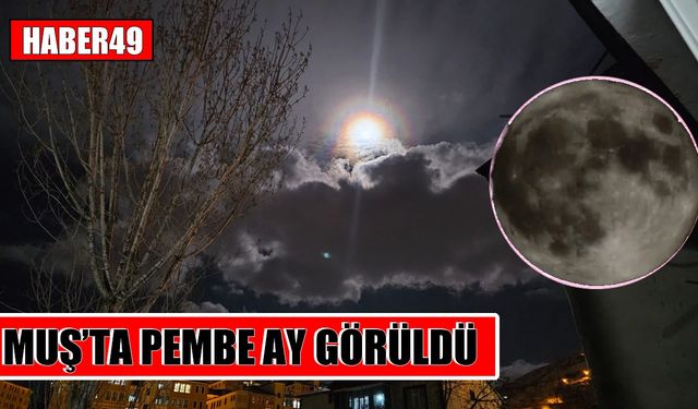 Muş'ta gökyüzü göz kamaştırdı: Pembe Ay görüldü