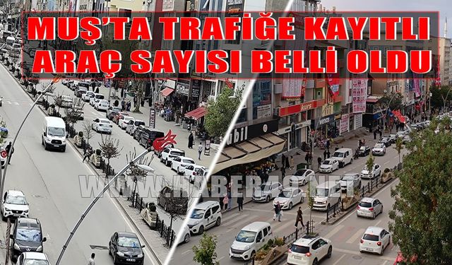 TÜİK Muş’ta trafiğe kayıtlı araç sayısını açıkladı