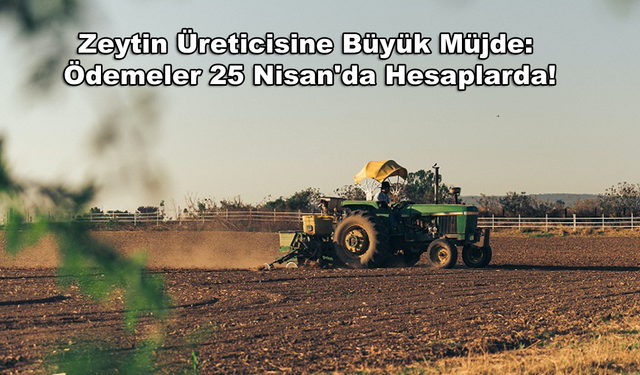 Zeytin Üreticisine Büyük Müjde: Ödemeler 25 Nisan'da Hesaplarda!