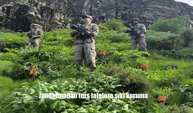 Hakkari’de Ters Lalelere Sıkı Koruma: 577 Bin TL Ceza Uygulaması