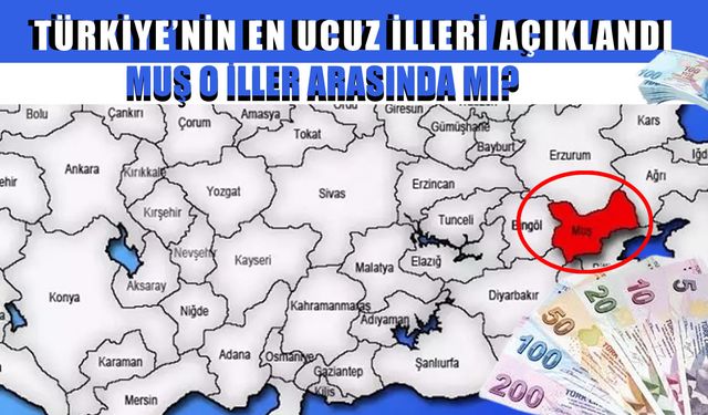 Türkiye’nin en ucuz şehirleri açıklandı: Peki Muş listede mi?