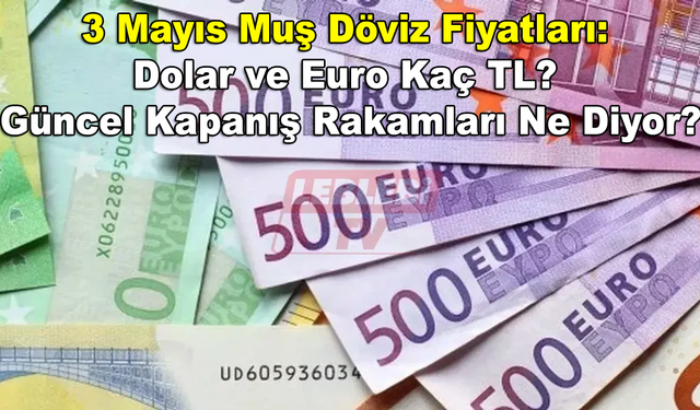 3 Mayıs Muş Döviz Fiyatları: Dolar ve Euro Kaç TL? Güncel Kapanış Rakamları Ne Diyor?