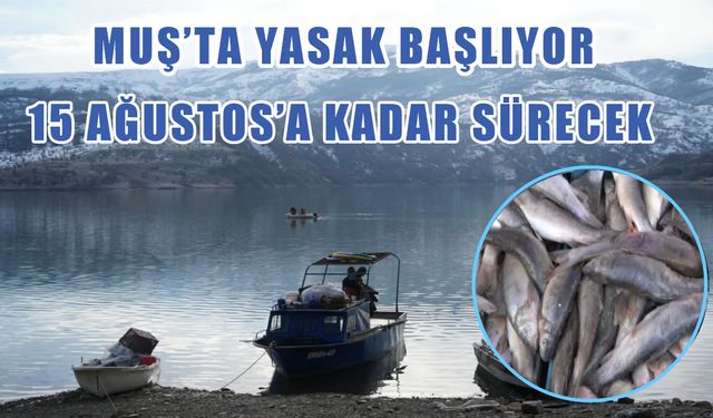 Muş'ta yasaklar başlıyor: Cezası 37 bin 770 TL