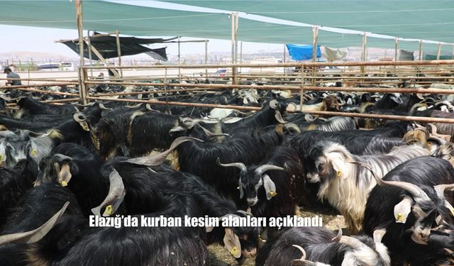 Elazığ Belediyesi Kurban Bayramı Hazırlıklarını Tamamladı: Satış ve Kesim Alanları Belli Oldu