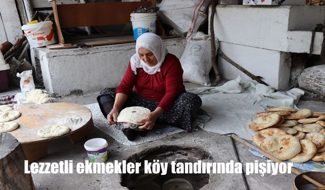 Lezzetli Tandır Ekmeği Geleneği Erzurum Olur’da Yaşatılıyor: Ormanağzı Köyü'nde Ekmek Pişirme Sanatı