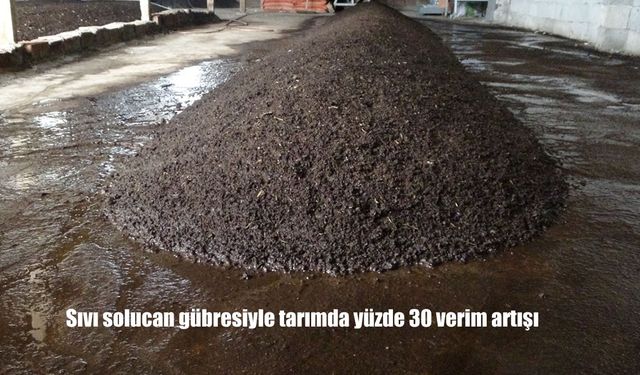Sıvı Solucan Gübresiyle Tarımda Devrim: Verimlilikte Yüzde 30’luk Artış Sağlanıyor
