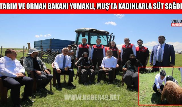 Muş’ta küçükbaş hayvancılıkta büyük artış