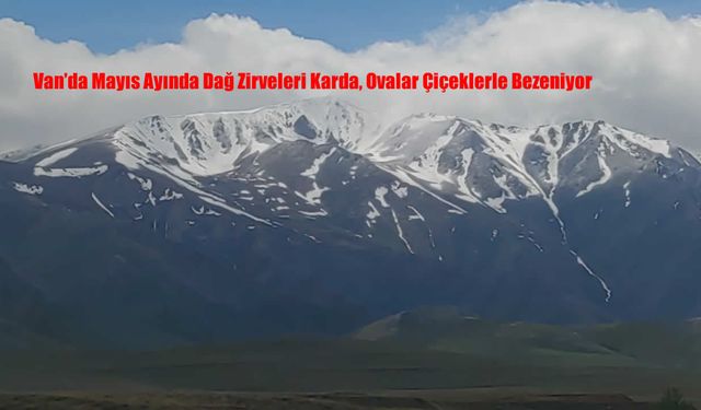 Van’da Mayıs Ayında Dağ Zirveleri Karda, Ovalar Çiçeklerle Bezeniyor
