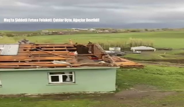 Muş’ta şiddetli fırtına felaketi: çatılar uçtu, ağaçlar devrildi!