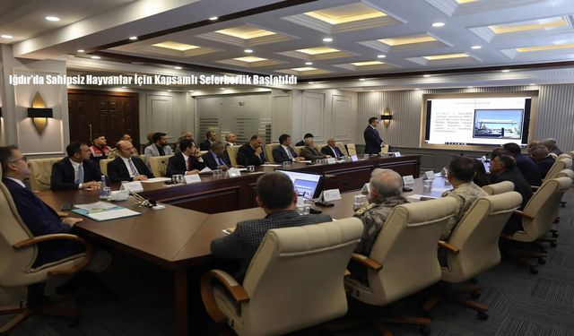 Iğdır’da Sahipsiz Hayvanlar İçin Kapsamlı Seferberlik Başlatıldı