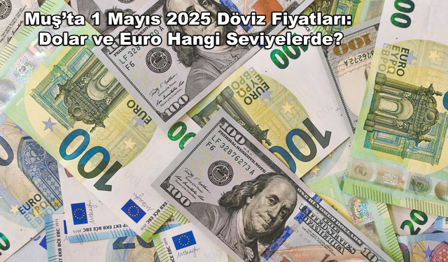 Muş’ta 1 Mayıs 2025 Döviz Fiyatları: Dolar ve Euro Hangi Seviyelerde?