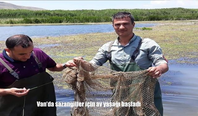 Van Gölü ve Tüm Sularda Sazangil Avına 3 Ay Boyunca Yasak Getirildi