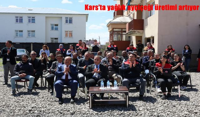 Kars’ta Yağlık Ayçiçeği Ekimiyle Tarımda Yeni Dönem Başladı