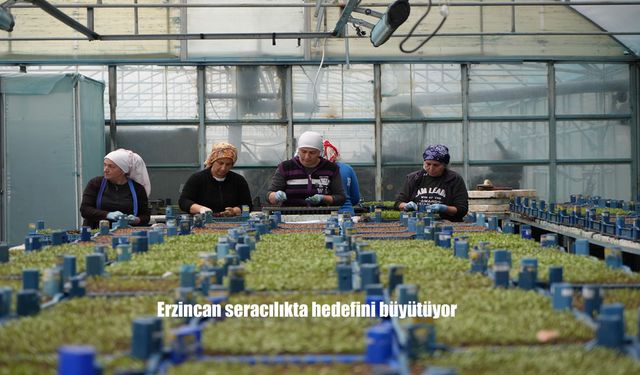 Erzincan, Seracılıkta Bölgenin Yeni Üssü Olma Yolunda İlerliyor