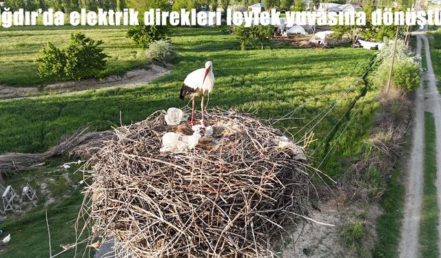 Bölge