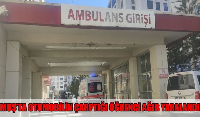 Muş'ta feci kaza: Üniversite öğrencisi ağır yaralandı