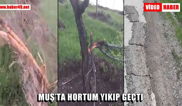 Varto’da hortum felaketi: “Böyle bir şeyi daha önce hiç görmedik”