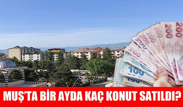 Muş’ta konut satış rakamları açıklandı