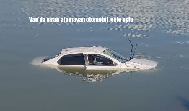 Direksiyon hâkimiyetini kaybeden sürücünün aracı gölete uçtu, çevredekiler yardıma koştu