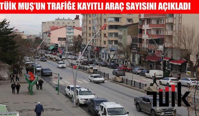 Muş'ta trafiğe kayıtlı araç sayısı açıklandı