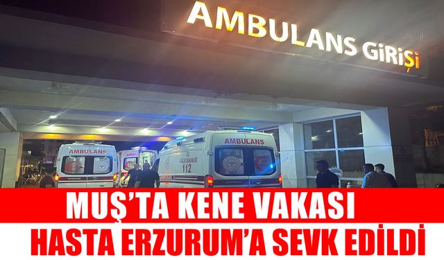 Muş’ta kene paniği: 1 kişi Erzurum’a sevk edildi