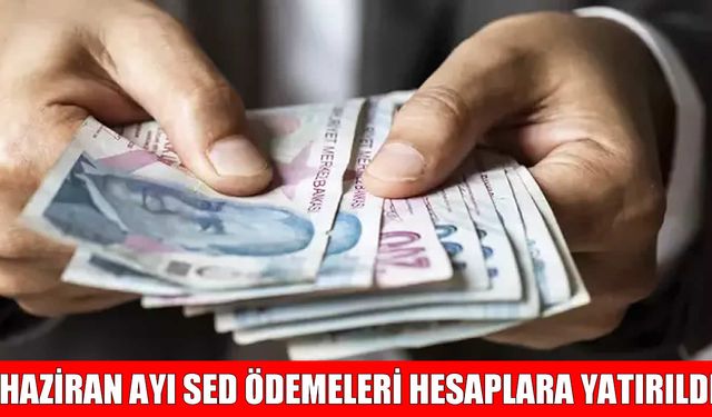 Muşlulara müjde: Haziran ayı SED ödemeleri hesaplara aktarıldı
