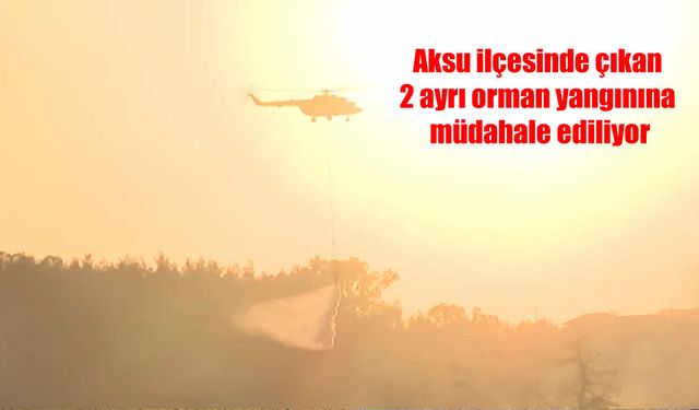 Antalya Aksu’da Korkutan Orman Yangını! Sera ve Yerleşim Alanları Tehlike Altında
