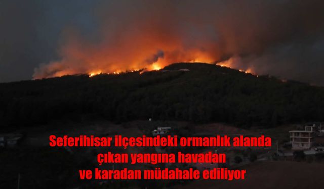 İzmir Seferihisar’da Orman Yangını: Alevlere Havadan ve Karadan Yoğun Müdahale