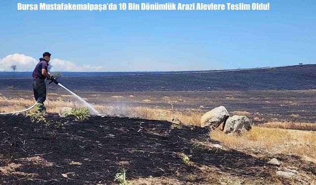 Bursa Mustafakemalpaşa’da 10 Bin Dönümlük Arazi Alevlere Teslim Oldu!
