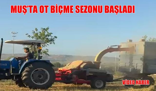 Muş’un yamaçlarında geleneksel ot biçme sezonu açıldı