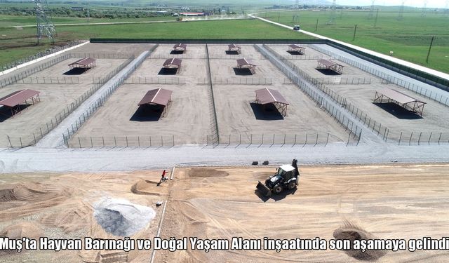 Muş’ta 50 dönümlük alanda inşa edilen barınakta son çalışmalar yapılıyor