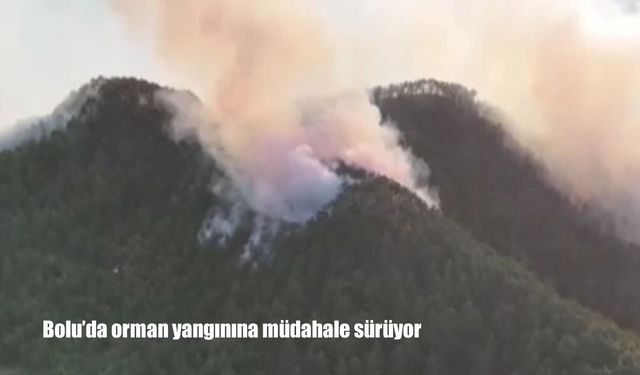 Bolu’da orman yangınına müdahale sürüyor: Yanan bölge havadan görüntülendi