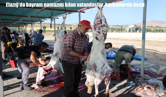 Elazığ’da bayram namazının ardından kurban kesim yerlerinde yoğunluk yaşandı