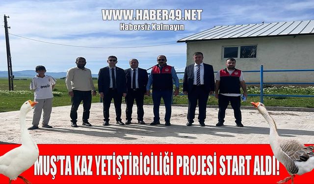 Muş’ta yeni gelir kapısı açılıyor: Kaz yetiştiriciliği projesinde sona gelindi