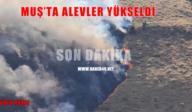 Muş’ta korkutan yangın