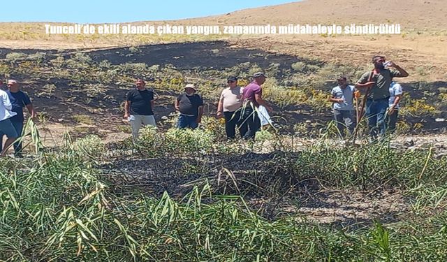 Tunceli’de Tarım Arazisinde Çıkan Yangın Kısa Sürede Kontrol Altına Alındı