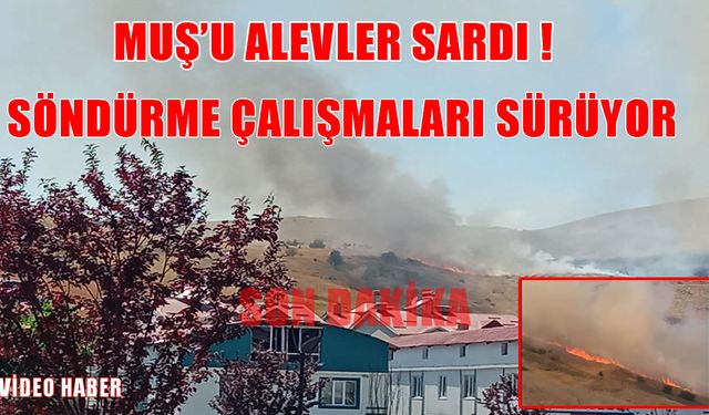 Muş Bayrak Tepe'de anız yangını!