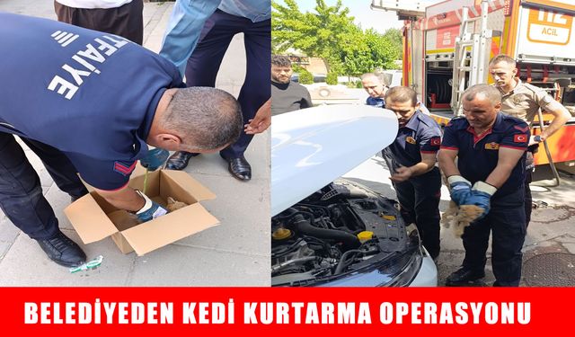 Muş’ta itfaiyeden kedi kurtarma operasyonu