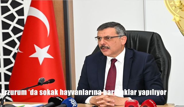 Erzurum Valisi Mustafa Çiftçi: “Sokak Hayvanları Konusunda Geri Adım Yok”