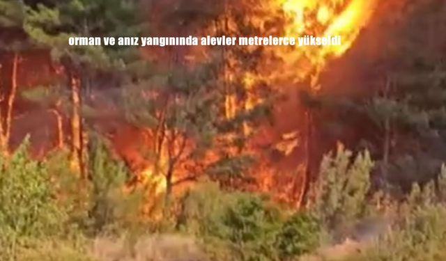 Orman ve Anız Yangını Felakete Dönüştü: Alevler Gökyüzünü Sardı