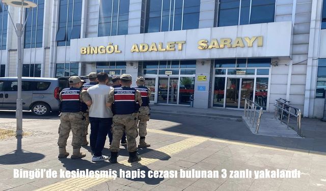 Bingöl’de Kesinleşmiş Hapis Cezası Bulunan 3 Hükümlü Jandarma Tarafından Yakalandı