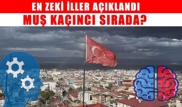 Türkiye’nin en zeki şehirleri açıklandı: Muş kaçıncı sırada?