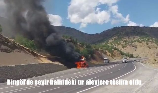 Bingöl-Diyarbakır Karayolunda Facianın Eşiğinden Dönüldü: Seyir Halindeki Tır Alev Aldı