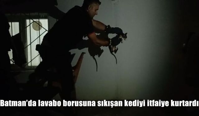 Batman Fatih Mahallesi’nde Lavabo Borusuna Sıkışan Kedi İtfaiye Ekiplerince Kurtarıldı
