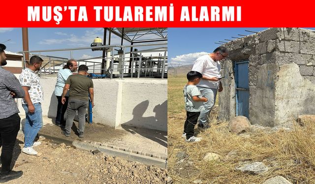 Muş’ta 'Tularemi' endişesi: Sağlık Müdürlüğü ekipleri çalışmalara başladı
