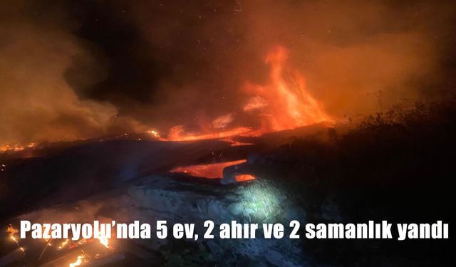 Erzurum’un Yaylaözü Mahallesi’nde Korkutan Yangın: Yerleşim Alanları Alevlere Teslim Oldu
