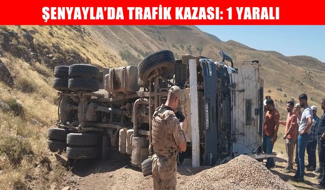 Muş Şenyayla’da kamyonet devrildi: 1 yaralı